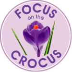 focus_on_the_crocus
